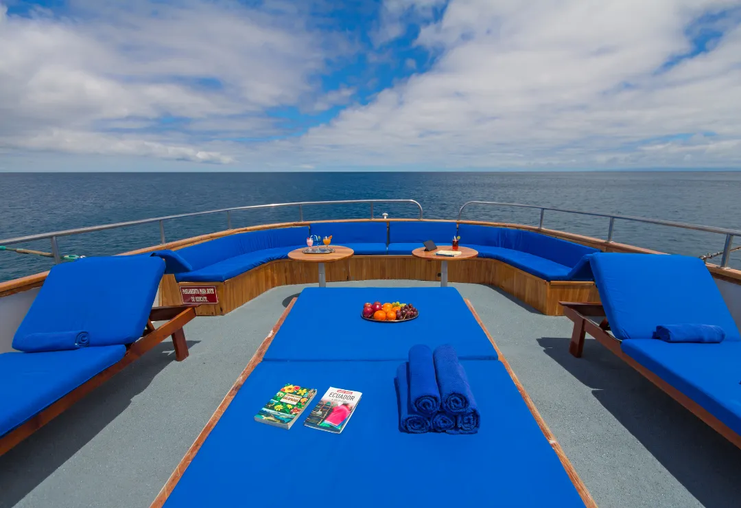 Upper Deck