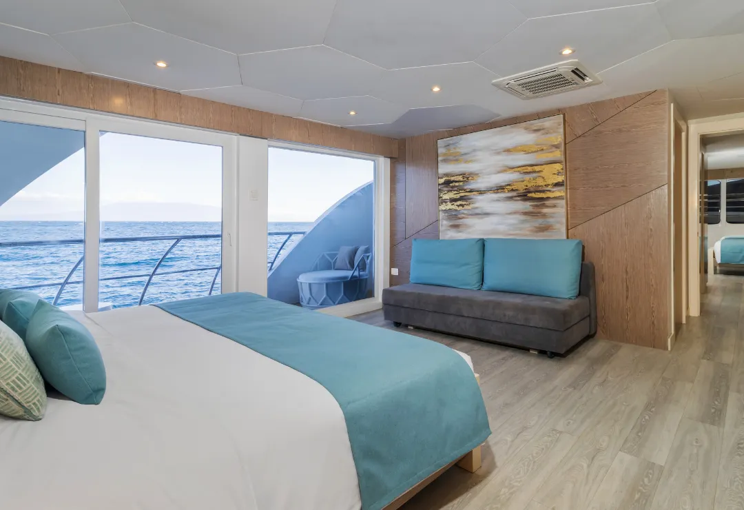 cabin elite cruise
