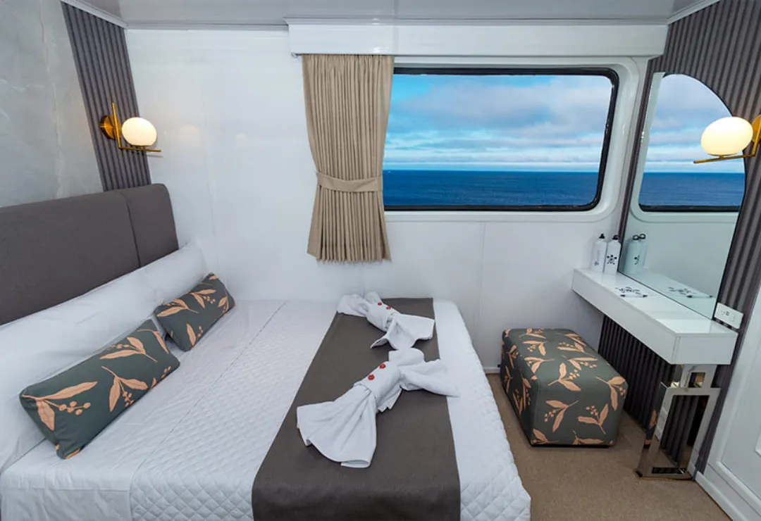 Cabin Galaxy Cruise