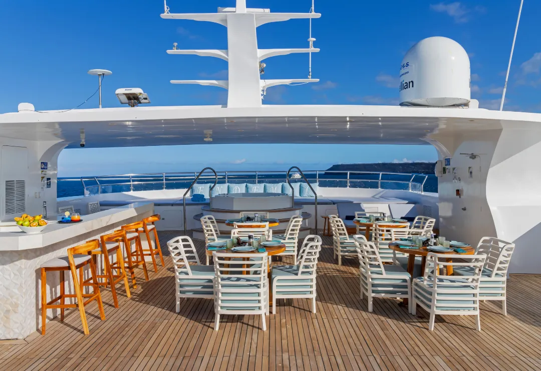 sundeck endemic cruise